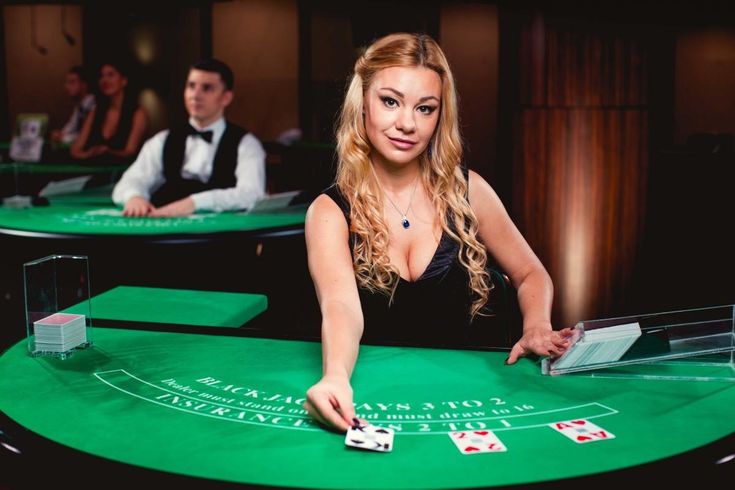 NZCasino Live Betting